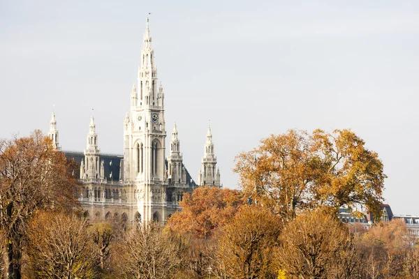 Wiener Rathaus — Stockfoto