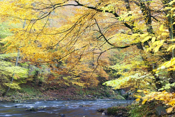 Río Metuje en otoño — Foto de Stock