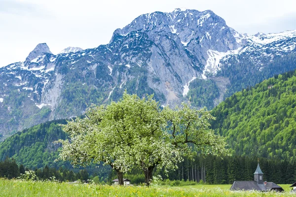 Rakouské Alpy poblíž Halštatského — Stock fotografie