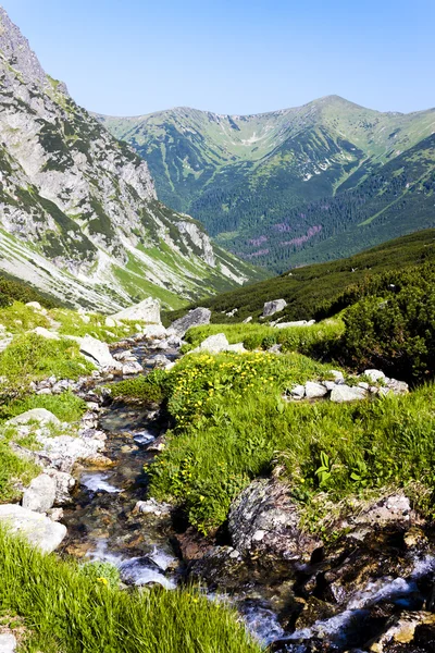 Hlinska Valley — Stock Photo, Image