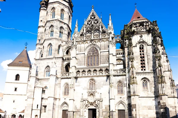 Aziz elizabeth Katedrali — Stok fotoğraf