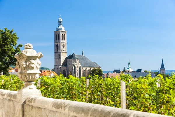 Church of St. James with vineyard — Stock Photo, Image