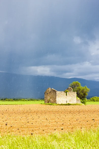 Campo com uma ruína de casa e árvore — Fotografia de Stock