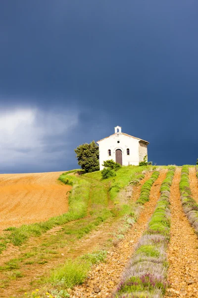 Capilla con campo de lavanda — Foto de Stock