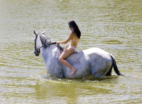 Paardensport op de rug van een paard — Stockfoto