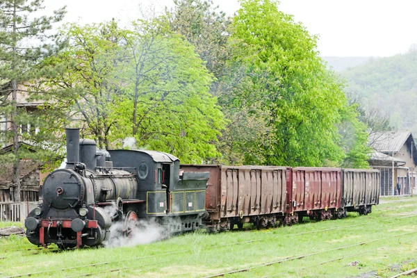 Dampfgüterzug — Stockfoto