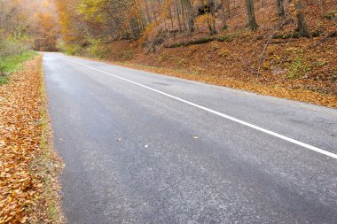 Boş yol Güz