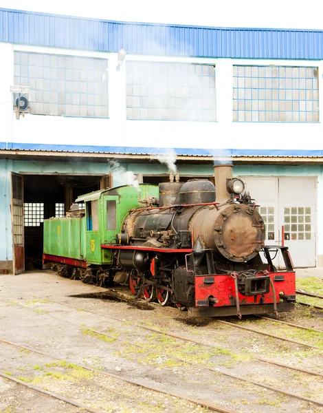 Locomotiva a vapor no depósito — Fotografia de Stock