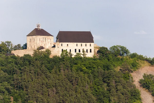 Tocnik замок — стокове фото