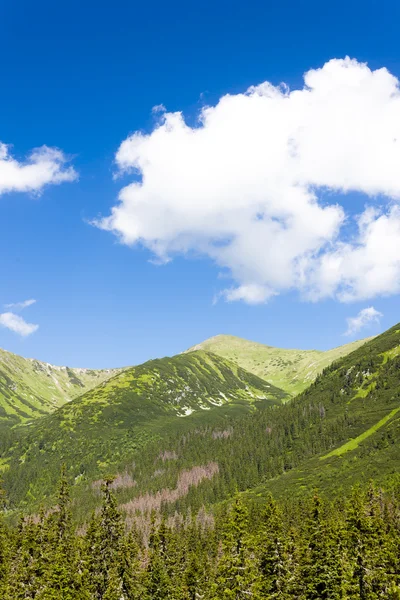 Hlinska Valley — Stock Photo, Image