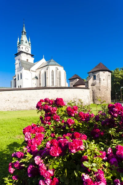 Hrad a kostel svaté Kateřiny — Stock fotografie