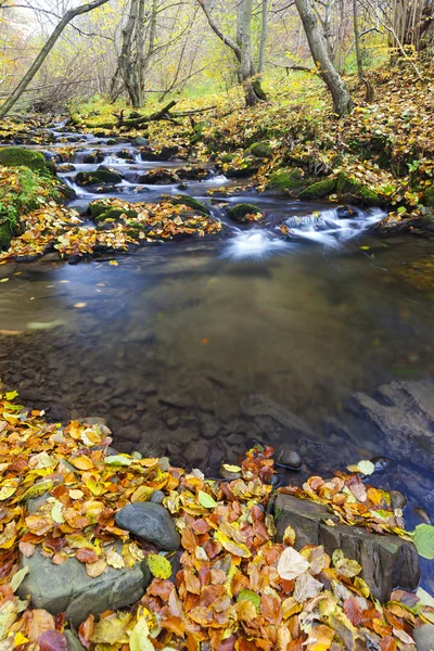 Осенью ручей — стоковое фото