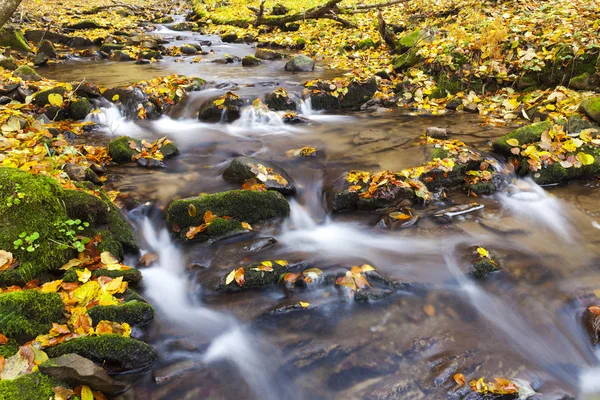 Brook en otoño — Foto de Stock