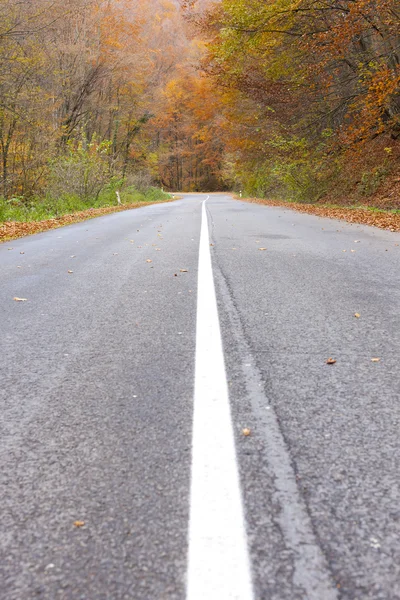 Leere Straße im Herbst — Stockfoto