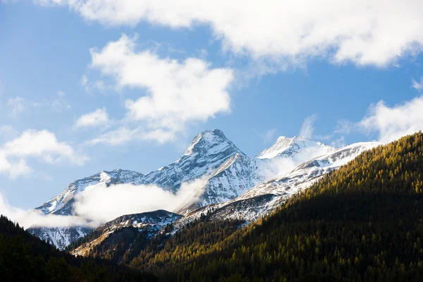 Alpen landschap in de buurt van filisur — Stockfoto