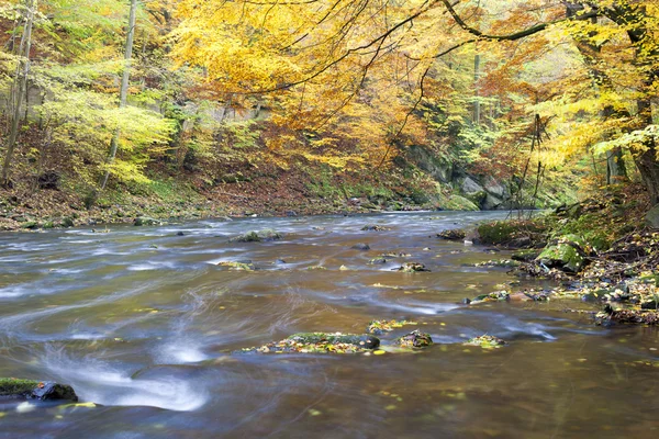 Metuje river in autumn — Stock Photo, Image