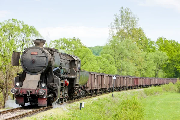 Tren de carga de vapor en la región de Tuzla —  Fotos de Stock