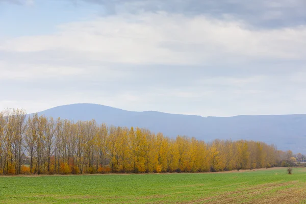 Autumn landscape — Stock Photo, Image