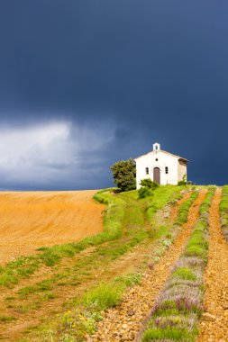 Şapel ile lavanta alan