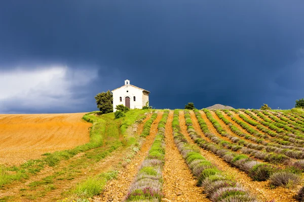 Capilla con campo de lavanda — Foto de Stock