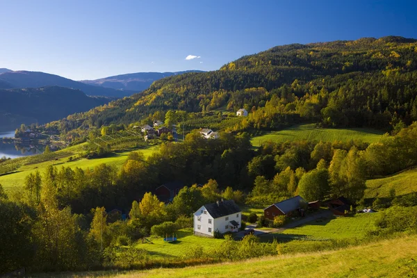 Liggande nära fjorden Ulvik — Stockfoto