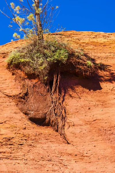 Colorado Provencal — Stok fotoğraf