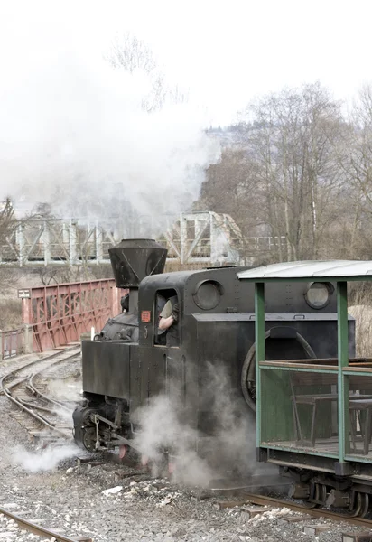 Locomotora de vapor CKD — Foto de Stock