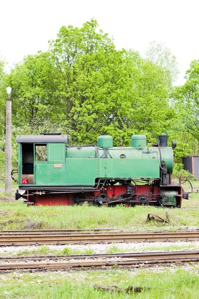 Locomotiva a vapor — Fotografia de Stock