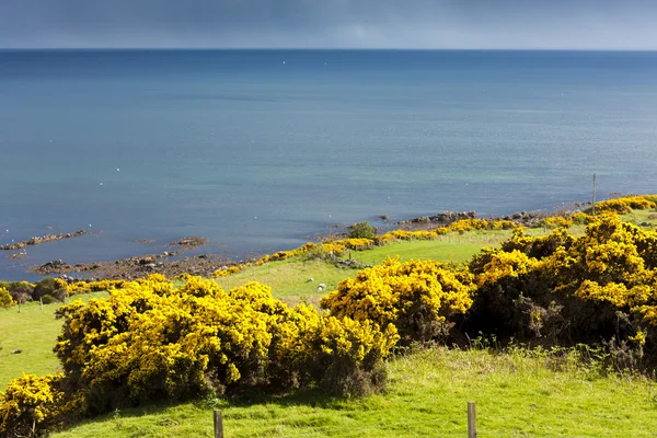 Crackaig manzara — Stok fotoğraf