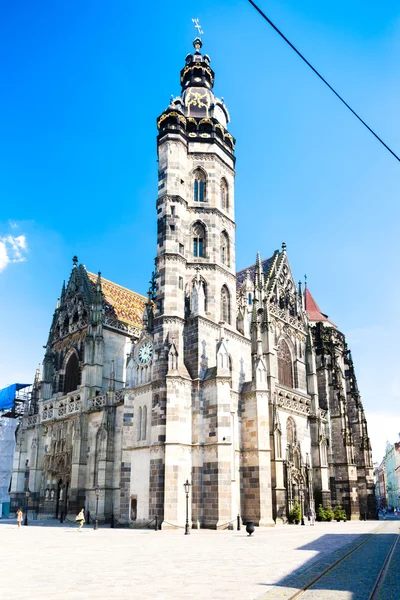 Kathedraal van saint elizabeth — Stockfoto