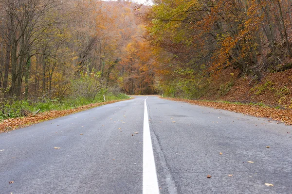 Leere Straße im Herbst — Stockfoto