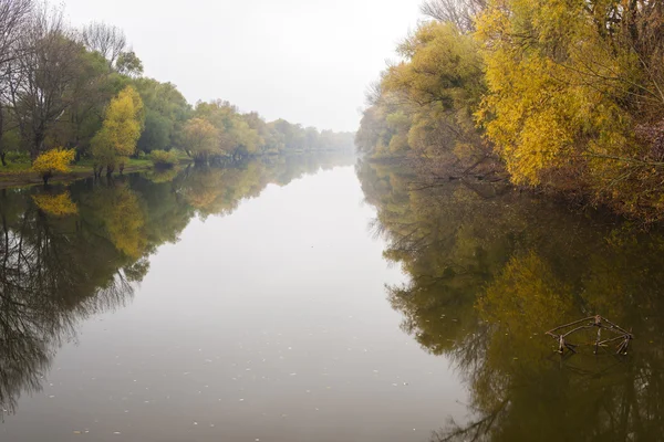 Petit Danube en automne — Photo