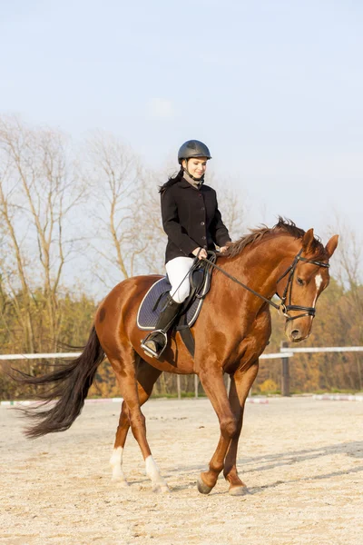 Ecuestre a caballo — Foto de Stock