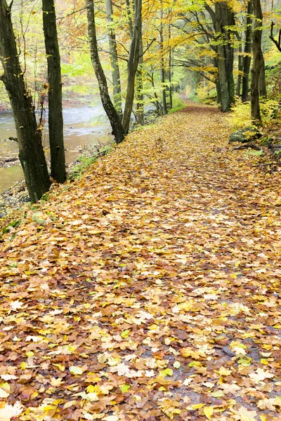 Valle Peklo en otoño, República Checa — Zdjęcie stockowe