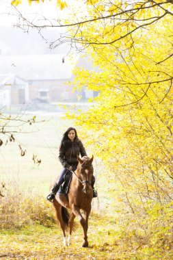 sonbahar doğa sırtında binicilik