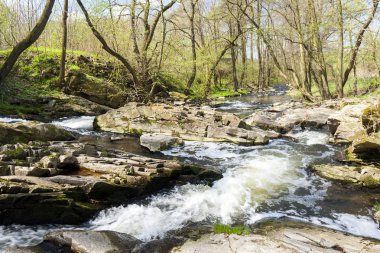 Vyrovka brook, Bahar yatay