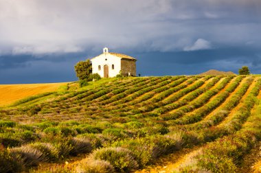 Şapel ile lavanta alan