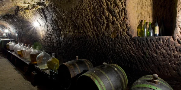 Wine cellar, Chvalovice, Czech Republic — Stock Photo, Image