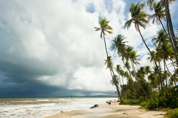 Baía de cocos — Fotografia de Stock