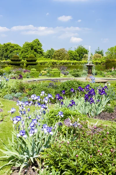 Ogród hatfield House — Zdjęcie stockowe