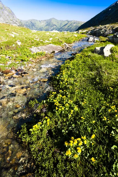 Hlinskan laakso — kuvapankkivalokuva