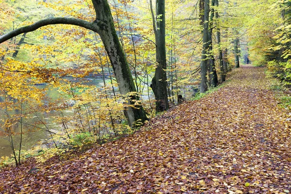 Valle de Peklo en otoño — Foto de Stock