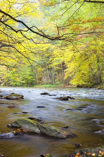 Río Metuje en otoño — Foto de Stock