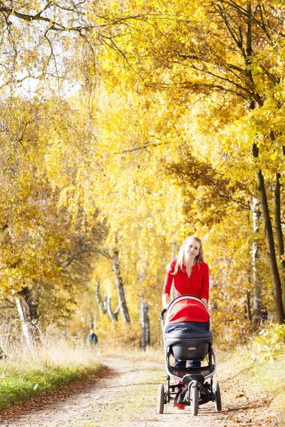 Woman with a pram on walk — Stock Photo, Image