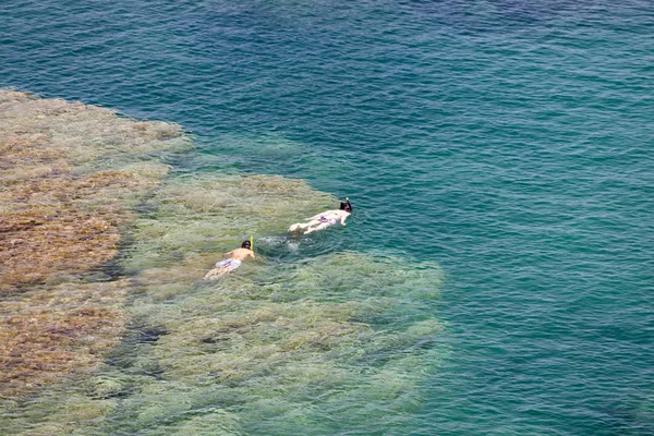 Κολύμβηση με αναπνευστήρα στο cap de peyrefite — Φωτογραφία Αρχείου