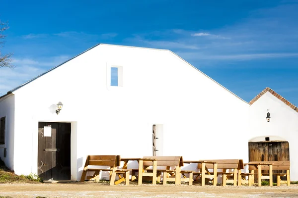 Bodega de vino pintado —  Fotos de Stock