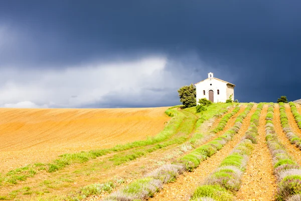 Chapel with lavender field — Stock Photo, Image