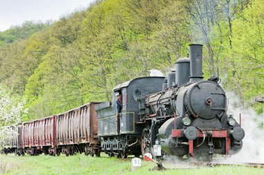 Buhar yük treni