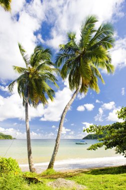 Batteaux Bay, Tobago