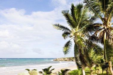skeete's bay, barbados, Karayipler